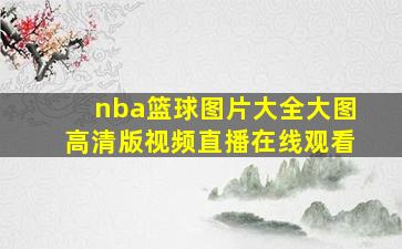 nba篮球图片大全大图高清版视频直播在线观看