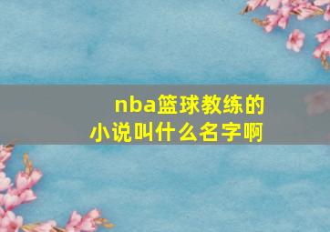 nba篮球教练的小说叫什么名字啊