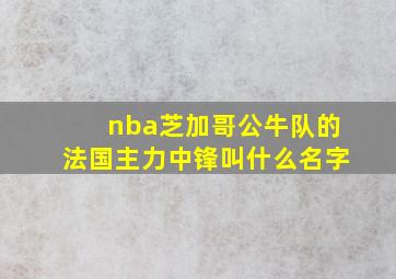 nba芝加哥公牛队的法国主力中锋叫什么名字