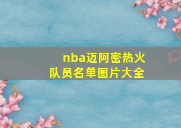 nba迈阿密热火队员名单图片大全