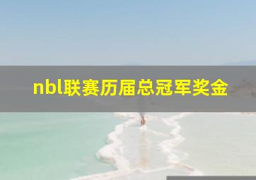 nbl联赛历届总冠军奖金