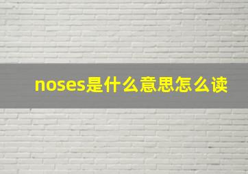 noses是什么意思怎么读