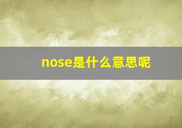 nose是什么意思呢