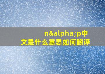 nαp中文是什么意思如何翻译