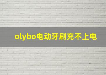 olybo电动牙刷充不上电