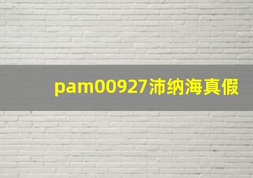 pam00927沛纳海真假