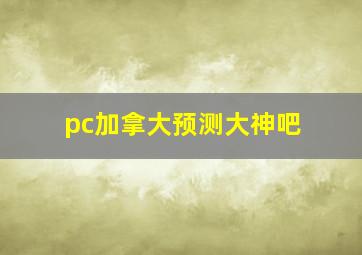 pc加拿大预测大神吧