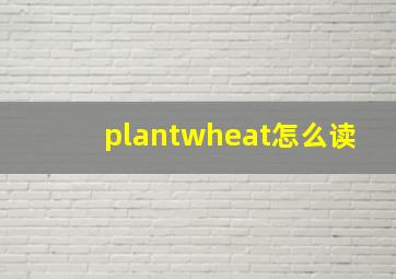 plantwheat怎么读