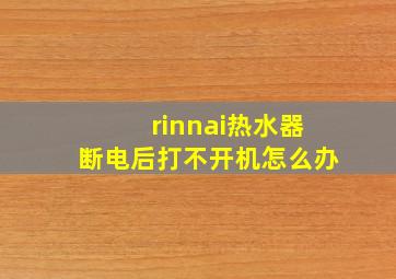 rinnai热水器断电后打不开机怎么办