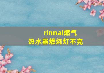 rinnai燃气热水器燃烧灯不亮