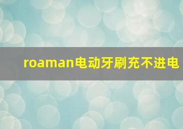 roaman电动牙刷充不进电