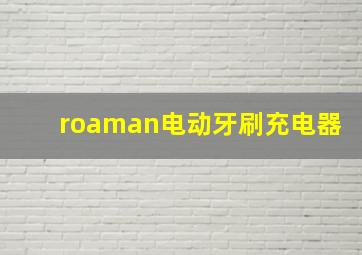 roaman电动牙刷充电器