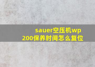 sauer空压机wp200保养时间怎么复位