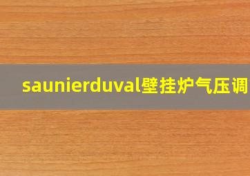 saunierduval壁挂炉气压调节