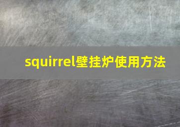 squirrel壁挂炉使用方法