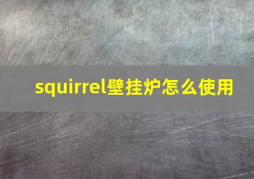 squirrel壁挂炉怎么使用