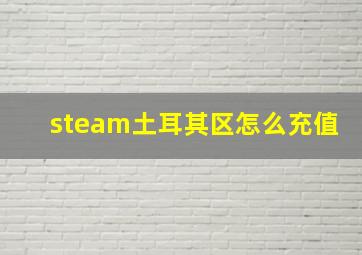 steam土耳其区怎么充值