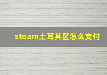 steam土耳其区怎么支付