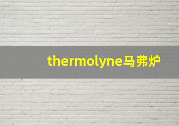 thermolyne马弗炉