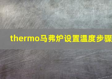 thermo马弗炉设置温度步骤