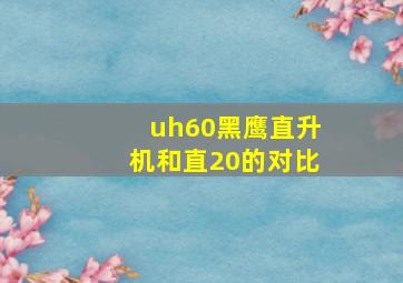 uh60黑鹰直升机和直20的对比