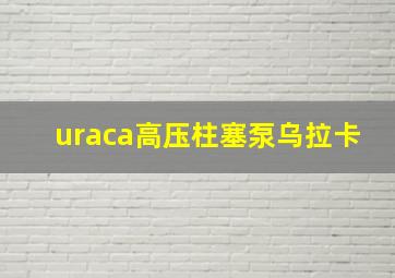 uraca高压柱塞泵乌拉卡