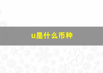 u是什么币种