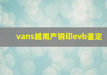 vans越南产钢印evb鉴定