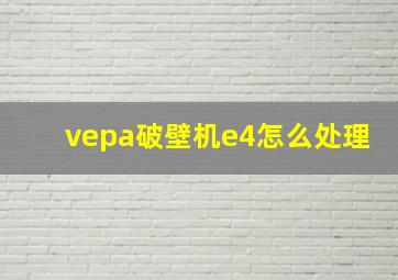 vepa破壁机e4怎么处理