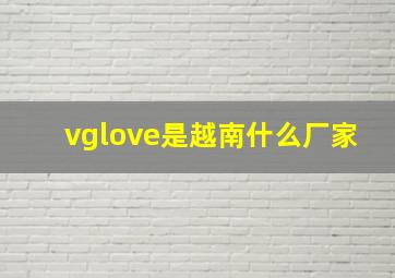 vglove是越南什么厂家