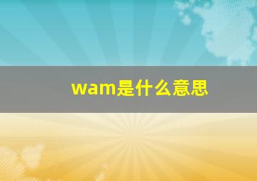 wam是什么意思