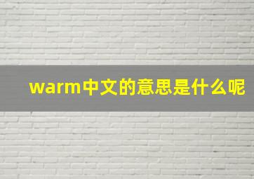 warm中文的意思是什么呢