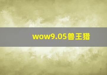 wow9.05兽王猎