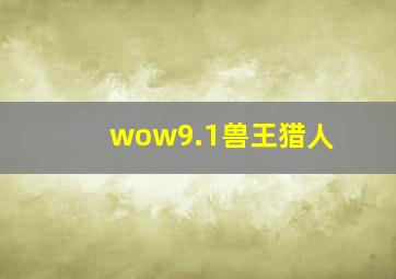 wow9.1兽王猎人