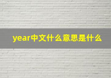 year中文什么意思是什么