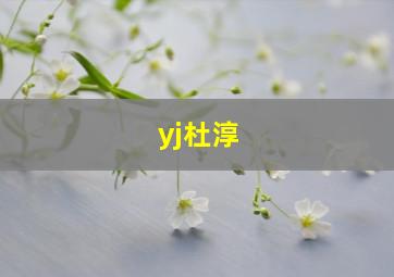 yj杜淳