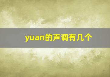 yuan的声调有几个