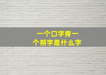 一个口字旁一个朔字是什么字