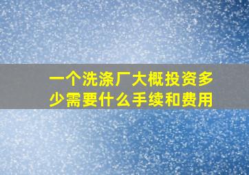 一个洗涤厂大概投资多少需要什么手续和费用