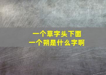 一个草字头下面一个朔是什么字啊