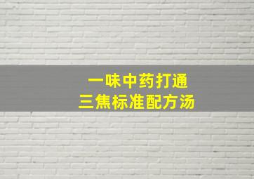 一味中药打通三焦标准配方汤