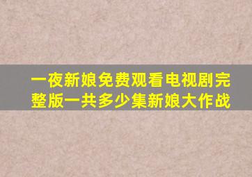 一夜新娘免费观看电视剧完整版一共多少集新娘大作战