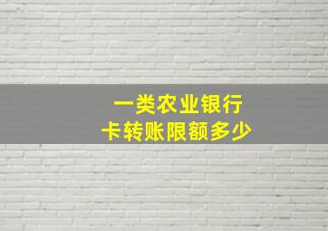 一类农业银行卡转账限额多少