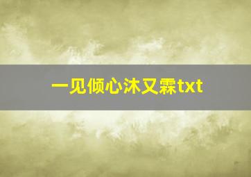 一见倾心沐又霖txt