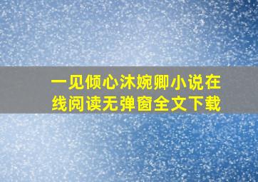 一见倾心沐婉卿小说在线阅读无弹窗全文下载