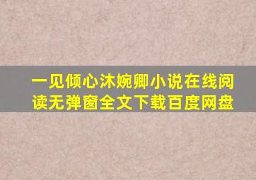 一见倾心沐婉卿小说在线阅读无弹窗全文下载百度网盘