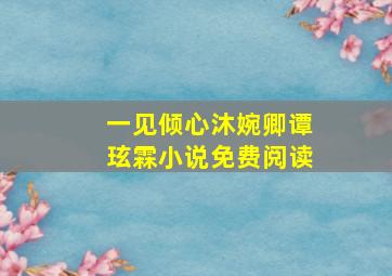 一见倾心沐婉卿谭玹霖小说免费阅读