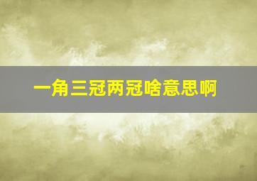 一角三冠两冠啥意思啊