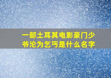 一部土耳其电影豪门少爷沦为乞丐是什么名字