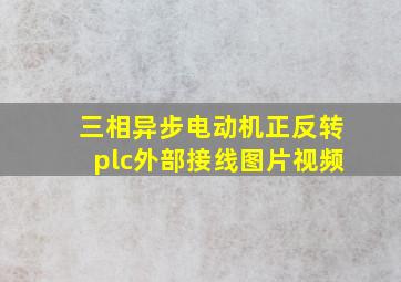 三相异步电动机正反转plc外部接线图片视频